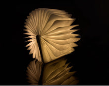Load image into Gallery viewer, Magical Book Lamp