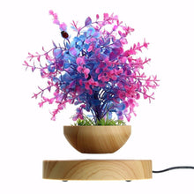 Load image into Gallery viewer, MAGNETIC LEVITATING FLOATING PLANT POT