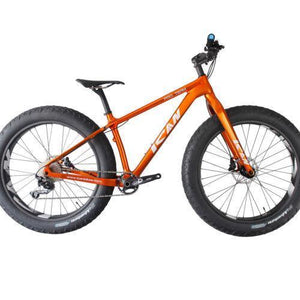 Golden Carbon Fat Bike Knight