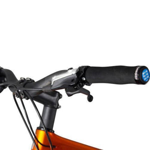 Golden Carbon Fat Bike Knight