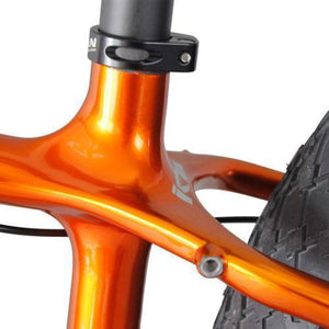 Golden Carbon Fat Bike Knight