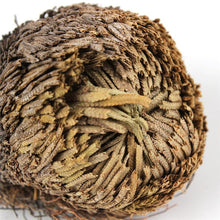 Load image into Gallery viewer, ROSE OF JERICHO