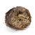 Load image into Gallery viewer, ROSE OF JERICHO