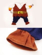 Load image into Gallery viewer, Pirate Pet Halloween Costume