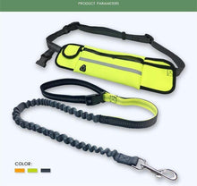Load image into Gallery viewer, Handsfree Bungee Dog Leash
