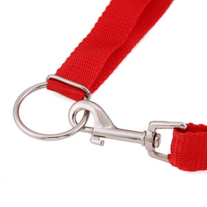 Instant Dog Trainer Leash