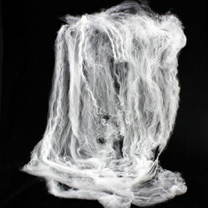 Halloween Scary Spider Web