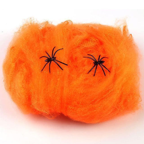 Halloween Scary Spider Web