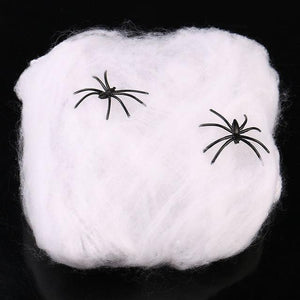 Halloween Scary Spider Web