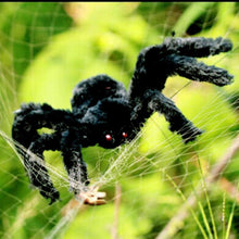 Load image into Gallery viewer, Halloween Big Black Furry Spider