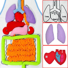 Load image into Gallery viewer, EduGame - Body Anatomy